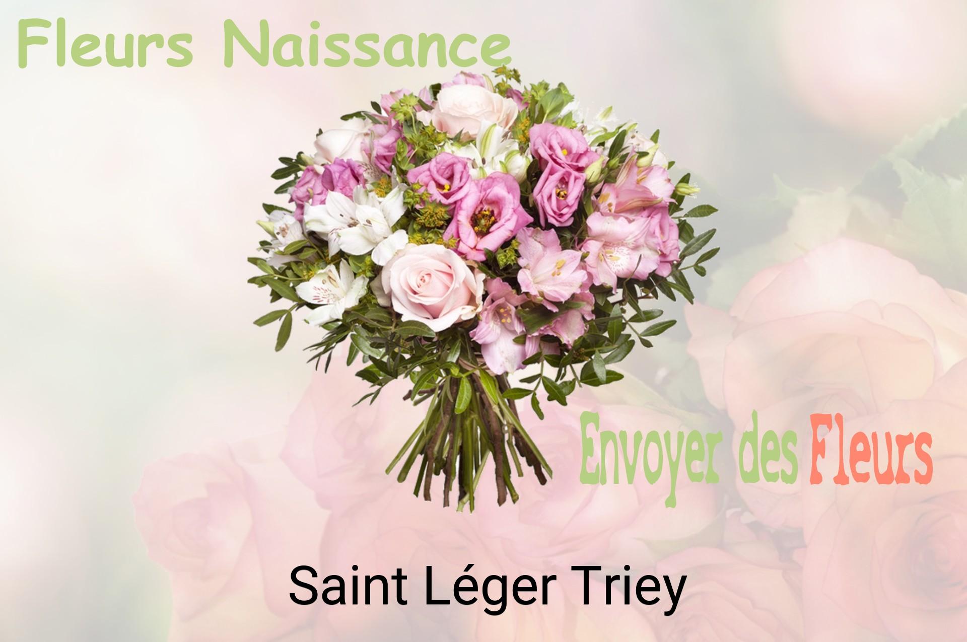 Bouquet de fleurs de naissance livré à Saint-Léger-Triey
